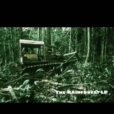 Rainforest by Slot One - album cover