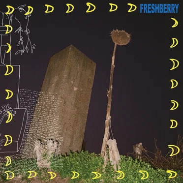 Diamond Files by Freshberry - album cover