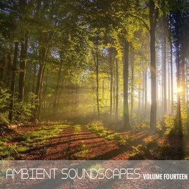 Ambient SoundScapes, Vol. 14 by Terry Oldfield - album cover