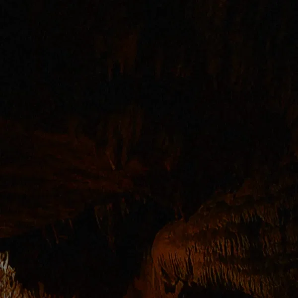 Stetson Sadler / Eugene Critchley