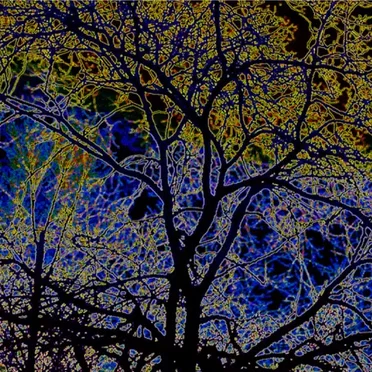 One Two Tree