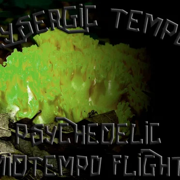 Psychedelic MidTempo Flight