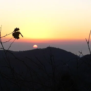 some sad songs i hadnt released yet, or w/e