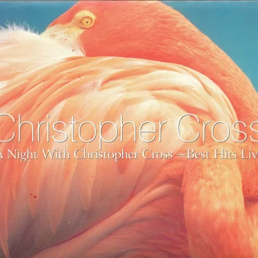 A Night With Christopher Cross: Best Hits Live