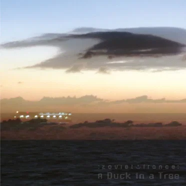 A Duck in a Tree #365, "Offshore Clarity"