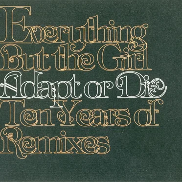 Adapt or Die: Ten Years of Remixes
