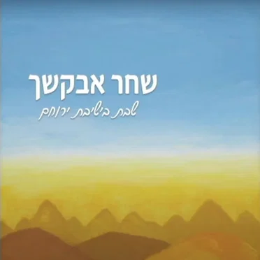 שחר אבקשך