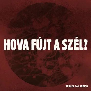HOVA FÚJT A SZÉL? by Müller - album cover