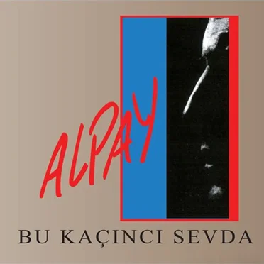 Bu Kaçıncı Sevda