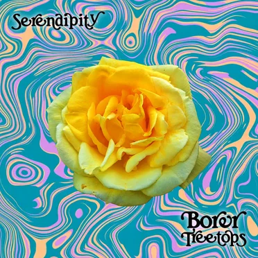 Serendipity