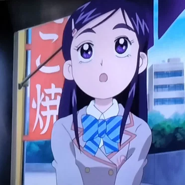 テレビのふたりはプリキュア