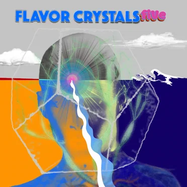 five by Flavor Crystals - album cover