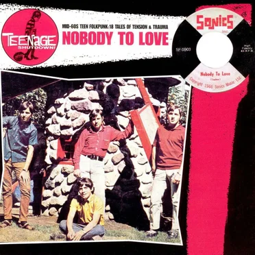 Teenage Shutdown! Nobody to Love by Various Artists - album cover