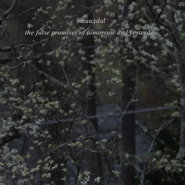 the false promises of tomorrow and yesterday