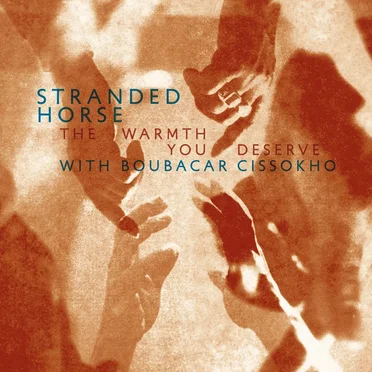 The Warmth You Deserve by Stranded Horse - album cover