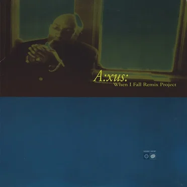 When I Fall Remix Project by A:xus - album cover