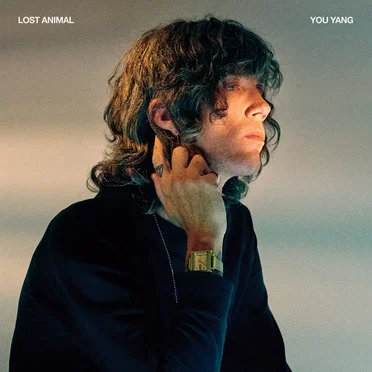 You Yang by Lost Animal - album cover