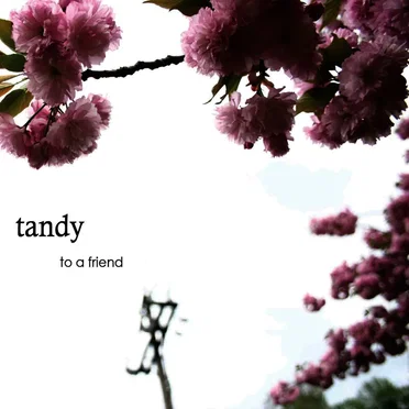 To a Friend by Tandy - album cover