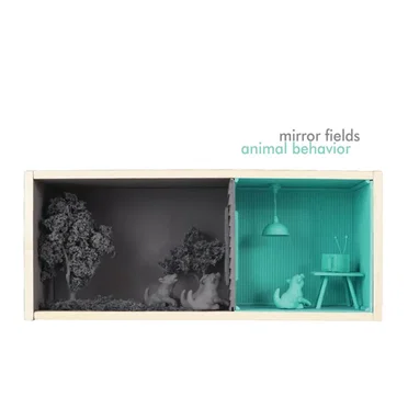 Animal Behavior by Mirror Fields - album cover