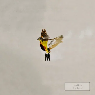 The Bird