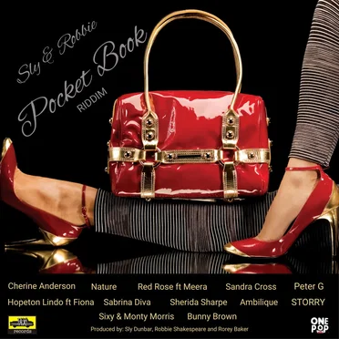Pocket Book Riddim by Various Artists - album cover