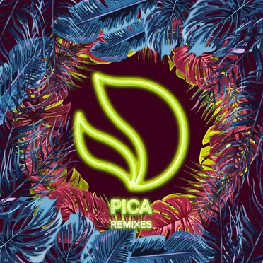 Pica (remixes)