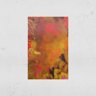 Harsh Plucks by Alarico - album cover