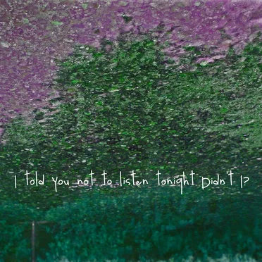 I Told You Not to Listen Tonight Didn't I?