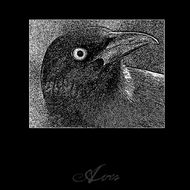 Aves by Aves - album cover