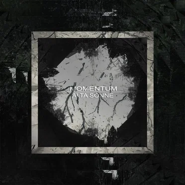 Momentum