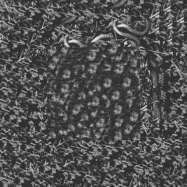 primary data resources for human enhancement through the pleasures of self-mutating flesh and steel hybridation process