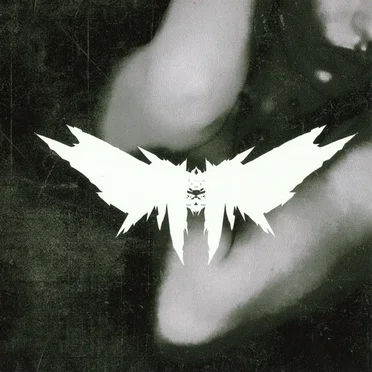 In the Depths of Nothingness by Daear - album cover