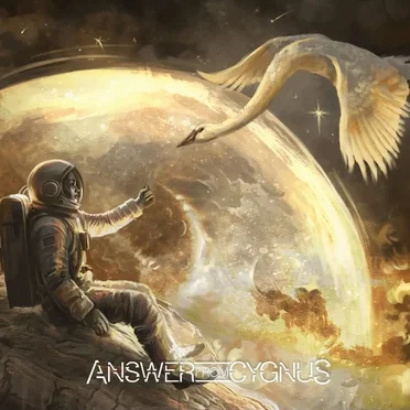 Des cendres by Answer from Cygnus - album cover
