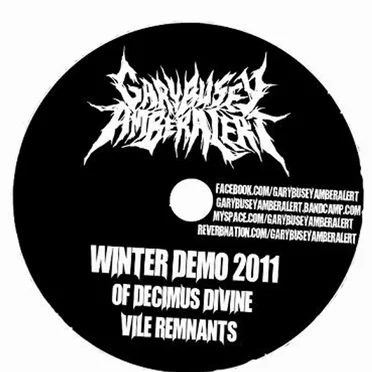 2011 Winter Demo