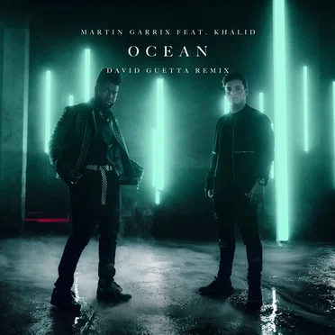 Ocean (David Guetta remix)