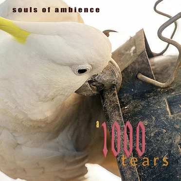 A 1000 Tears by Souls of Ambience - album cover