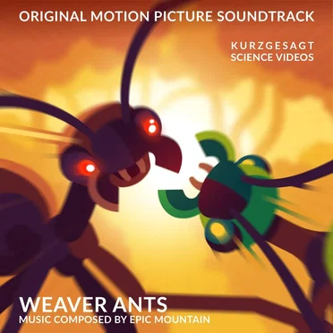 Weaver Ants