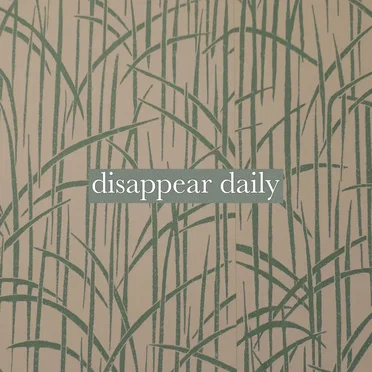 Disappear Daily by Ollie MN - album cover