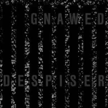 Despiser