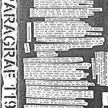 Paragraf 119