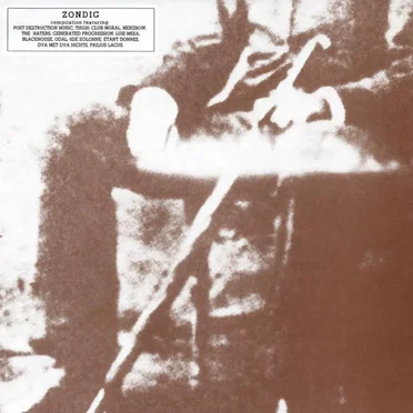 Zondig by Various Artists - album cover