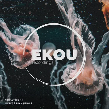 Lifted / Transitions