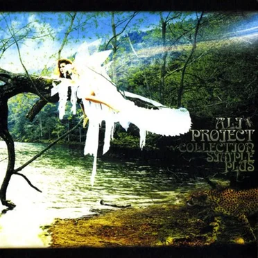 COLLECTION SIMPLE PLUS