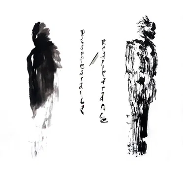Disappearance / Reappearance