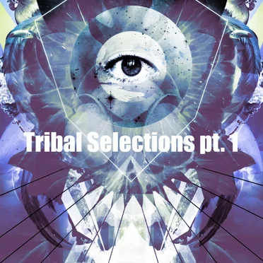 Tribal Selections Pt.1 by Various Artists - album cover