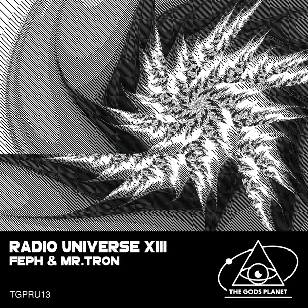 Radio Universe XIII
