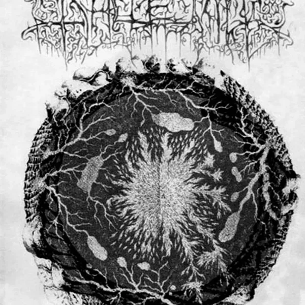 Lawra Nihil