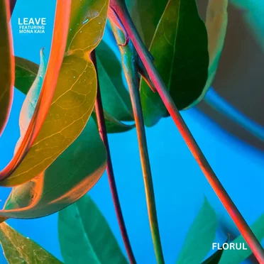 LEAVE by FLORUL - album cover