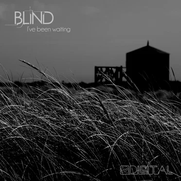 I've Been Waiting by Blind - album cover