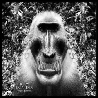 Feindlich Stimmung by Body Expander - album cover